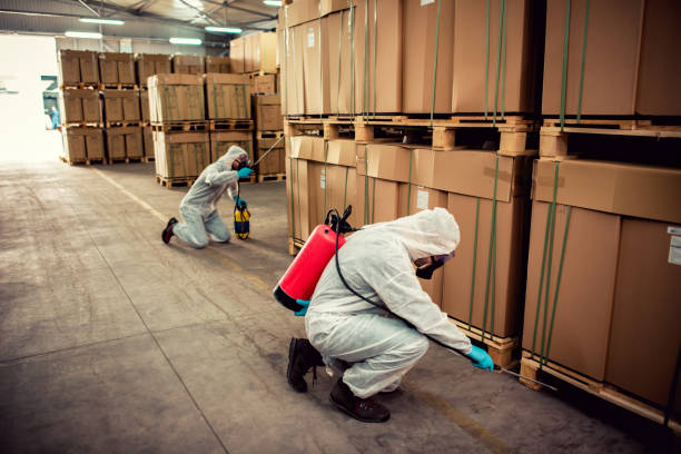 Best Local Pest Control Services  in John Day, OR