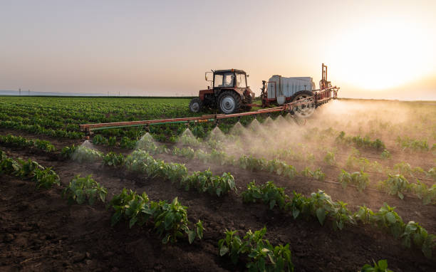 Best Pest Removal Services  in John Day, OR