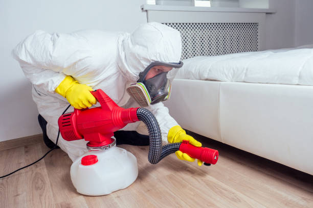 Reliable John Day, OR Pest Control Solutions