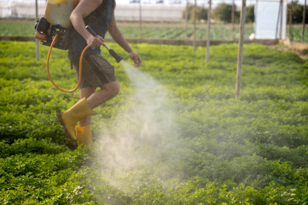 Pest Prevention Services in John Day, OR
