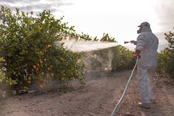 Best Spider Control Near Me  in John Day, OR