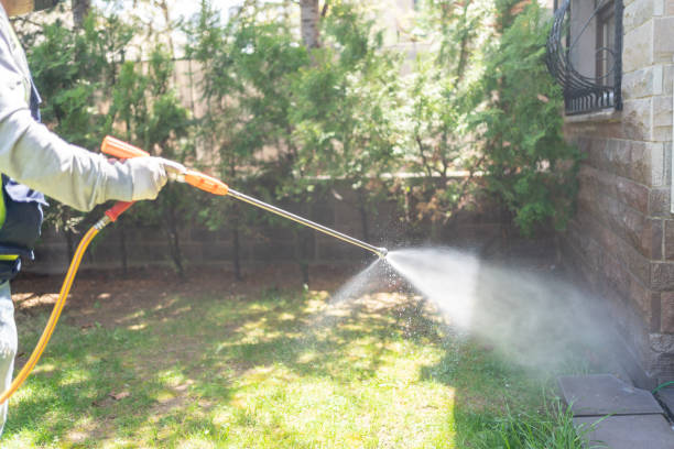 Best Rat Extermination Near Me  in John Day, OR