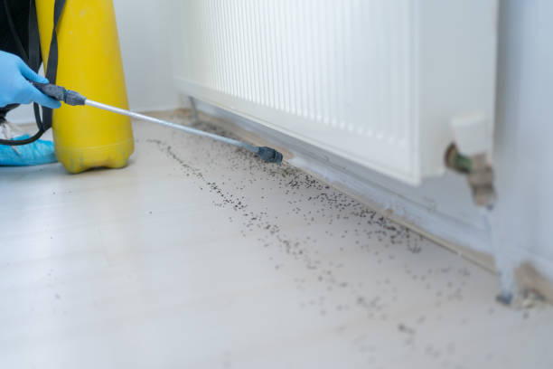 Best Affordable Pest Control Services  in John Day, OR