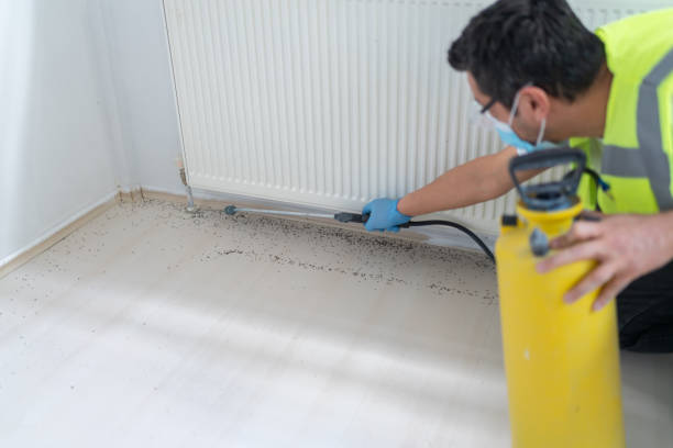 Reliable John Day, OR Pest Control Solutions