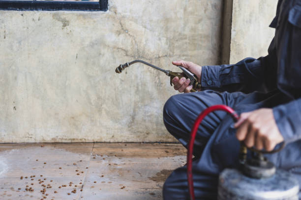 Best Pest Control Cost  in John Day, OR